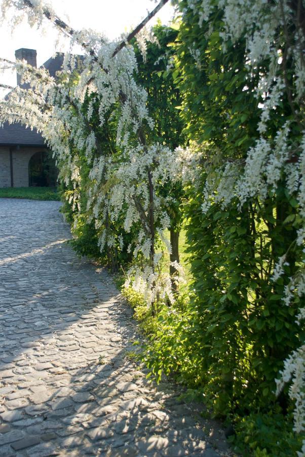 Villami Anzegem Extérieur photo